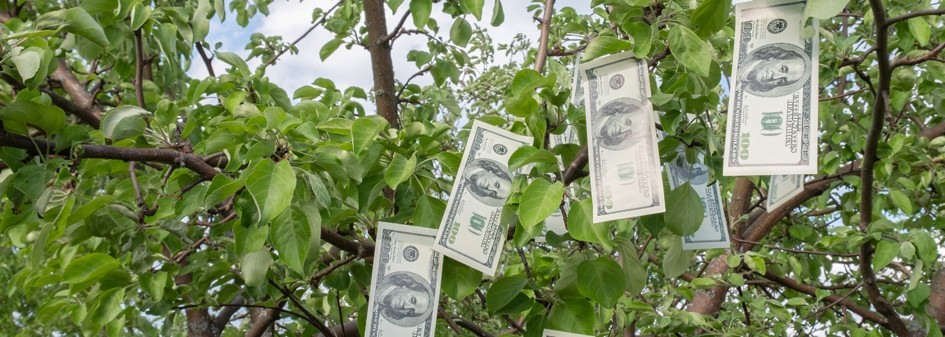 ARiMR: Dodatkowe pieniądze na kredyty preferencyjne dla rolnik&oacute;w