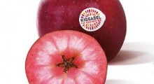 Jabłka Kissabel® podbijają światowe rynki