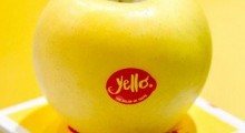 Jabłko YELLO® rusza na podbój Australii 