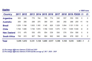  Prognozy zbiorów jabłek na półkuli południowej w 2020 r.