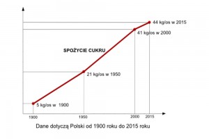  Dane dotyczące Polski od 1900 roku do 2015 roku 