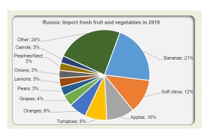  Rosja: Import owoców warzyw w 2019 roku