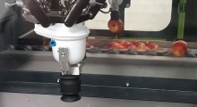 Robot do sortowania i pakowania jabłek 