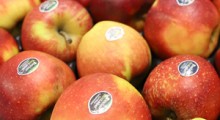 Koniec z etykietami na jabłkach od stycznia 2021 roku