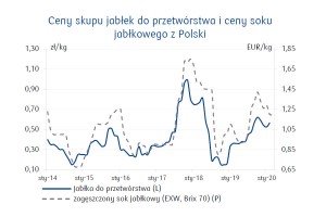  Ceny skupu jabłek do przetwórstwa i ceny soku jabłkowego z Polski