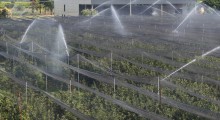 Dostosowanie produkcji rolnej do ograniczonych zasobów wodnych