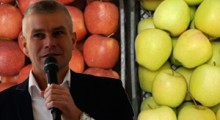 Dochodowe odmiany jabłoni - Robert Binkiewicz Agrosimex