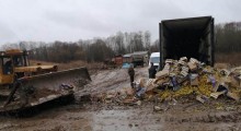 Rosja: Zniszczono ponad 20 ton polskich gruszek 