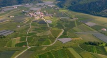 Włochy: Koronawirus paraliżuje sadownictwo 