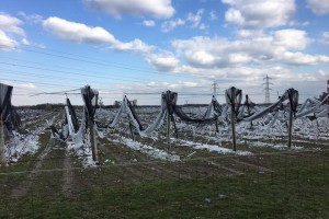  foto: Obstbau Herbst