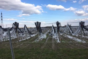  foto: Obstbau Herbst