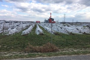  foto: Obstbau Herbst