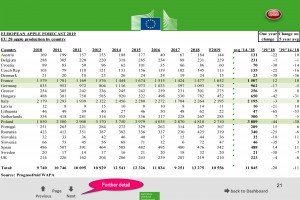  Europejskie zbiory jabłek (prognoza)