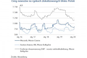  Ceny nawozów na rynkach zlokalizowanych blisko Polski