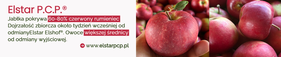 Elstar P.C.P.