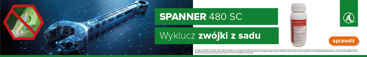 Spanner