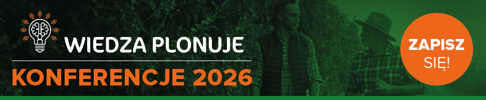 Harmonogram konferencji